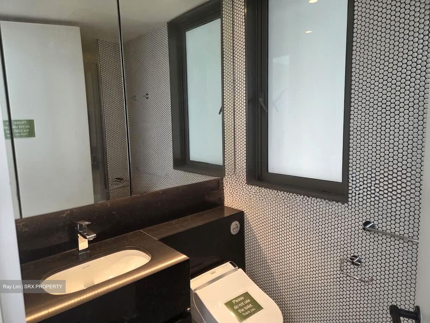 10 Evelyn (D11), Apartment #536953411